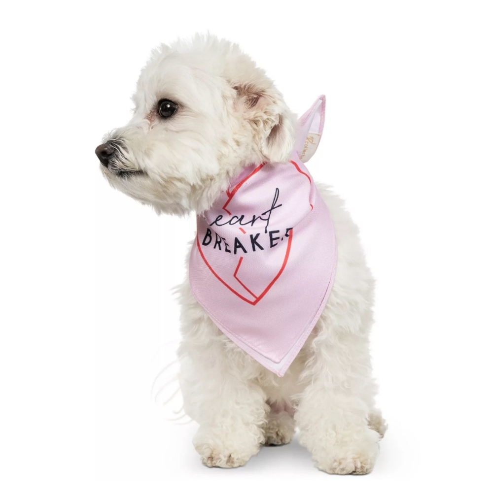Heart Breaker Graphic Pet Bandana